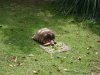 DSC00577.JPG