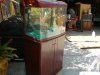 DSCN4633.JPG