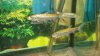 DSC07310.JPG