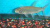 DSC07333.JPG