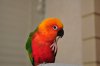 DSC_9598.JPG