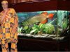 arowana.jpg