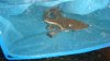 DSC07387.JPG