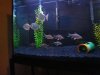 IMG_0192.JPG