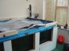 DSC06268.JPG