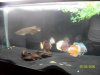 100_1157.JPG