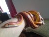DSC00420.JPG
