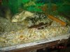 DSC01699.JPG