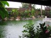IMG_0527.JPG
