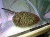 180320101363.jpg