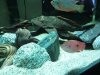 downsized_0528001955a.jpg
