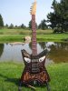 the woody-1.JPG