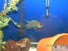 slowfishpics 046.JPG