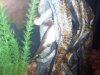 100_3031.JPG