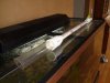 DSC01165.JPG