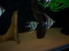 100_5642.JPG