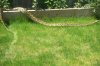 holiday and animals 384.jpg