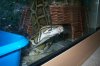 holiday and animals 060.jpg