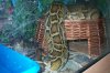 holiday and animals 061.jpg