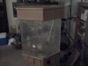 IMG00546.jpg IMG00546.jpg