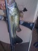 IMG_1713.JPG IMG_1713.JPG