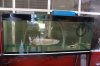 75gal.JPG 75gal.JPG
