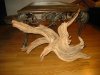 june 044.JPG