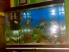 06102010050.jpg