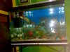 06102010052.jpg