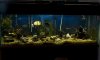180 full tank 1.jpg 180 full tank 1.jpg