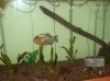 100_1475.JPG
