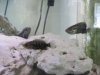 2010-04-09 318.jpg