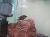 2010-04-09 321.jpg