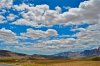 DSC_0509.JPG