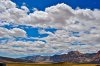DSC_0510.JPG