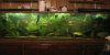 150 gal tank.JPG