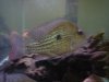DSC03020.jpg