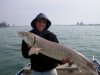 sturgeon 3.jpg