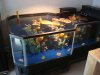 DSC07779.JPG