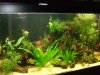 DSCF3271.JPG