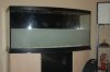 June 13, 2010 288.jpg