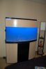June 13, 2010 346.jpg