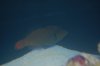 June 13, 2010 400.jpg