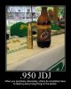 950jdjnl3.jpg
