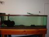 DSC00724.JPG