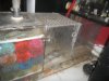 DSCN2549.JPG