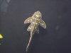 DSC08208.JPG
