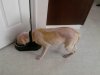 Eating Day 1 After bath.jpg