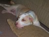 100_2751.JPG 100_2751.JPG