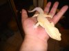 DSCN2596.JPG
